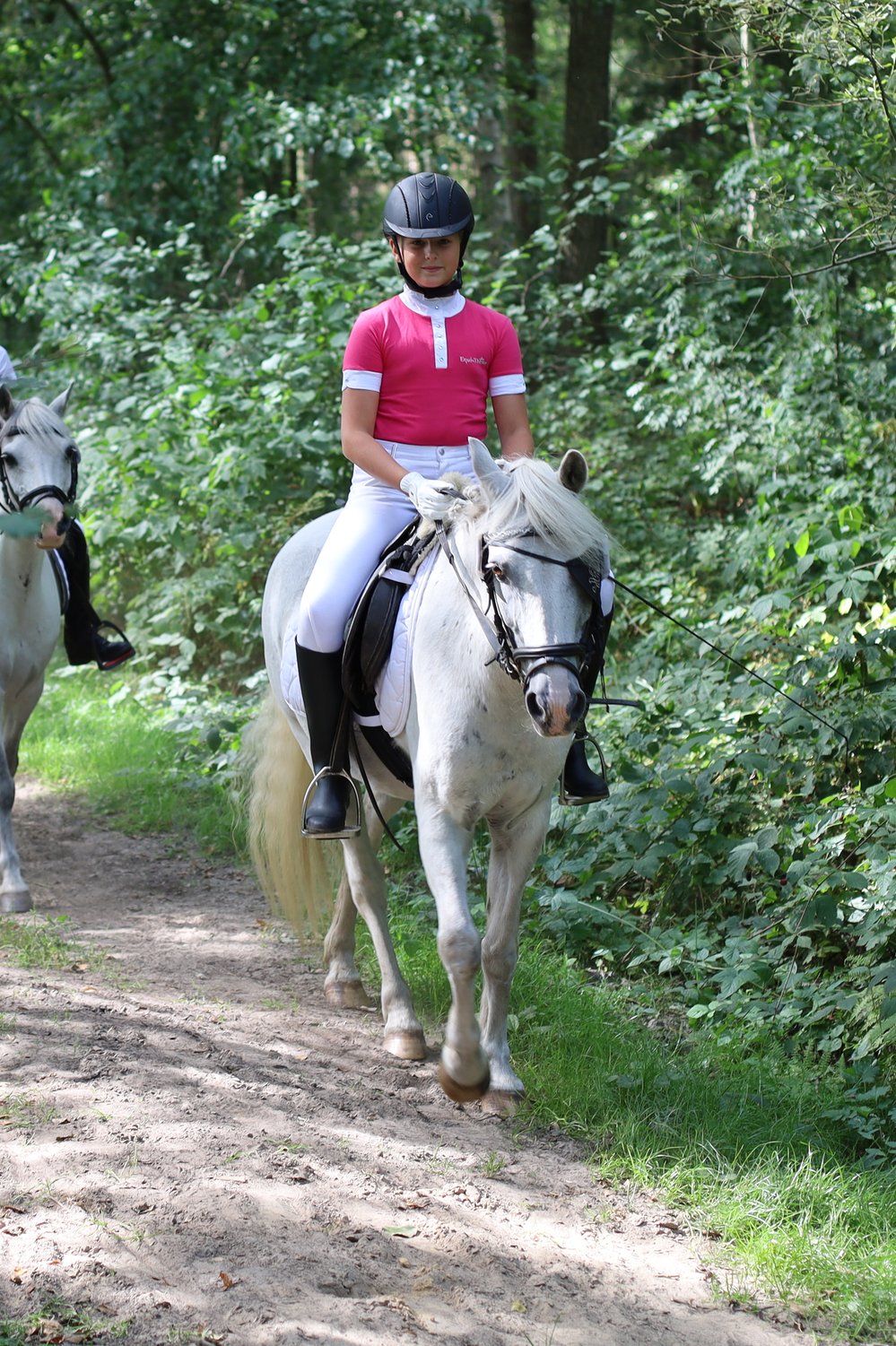 Ausritt mit Pferd in der Umgebung von Logaerfeld